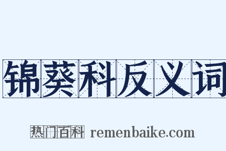 锦葵科反义词是什么意思的图片